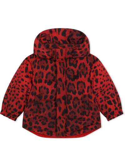 Shop Dolce & Gabbana Leopard-print Padded Jacket In Red