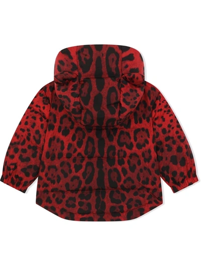 Shop Dolce & Gabbana Leopard-print Padded Jacket In Red