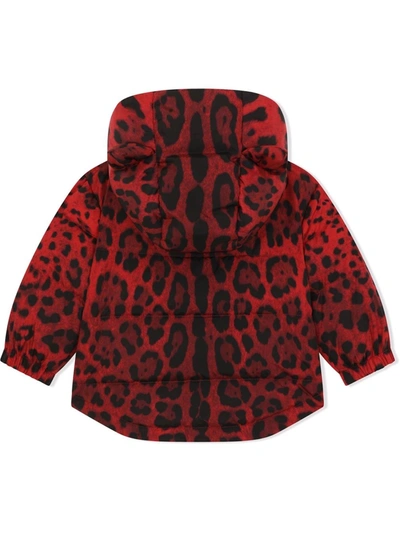 Dolce & Gabbana Leopard-print Nylon Down Jacket In Red
