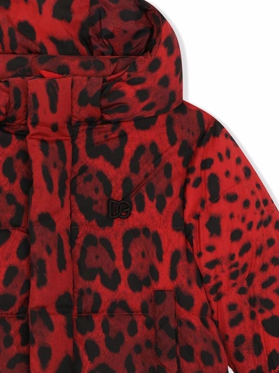 Dolce & Gabbana Leopard-print Nylon Down Jacket In Red