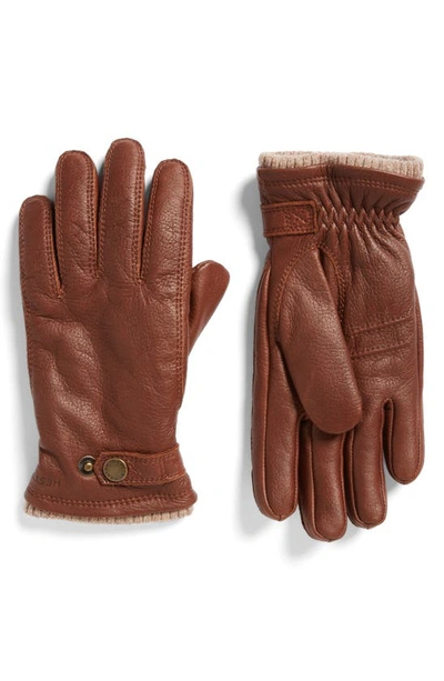 Shop Hestra Utsjo Leather Gloves In Chestnut