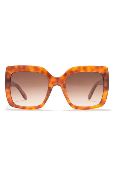 Bcbgmaxazria 50mm Oversized Square Sunglasses In Golden Honey Havana