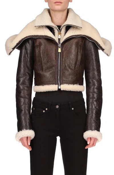 Shop Givenchy Double Collar Crop Leather Jacket With Genuine Shearling Lining In 007-black Beige