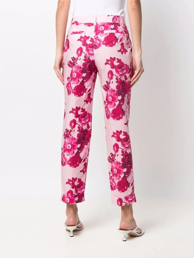 P.a.r.o.s.h Floral-print Tailored Trousers In Pink
