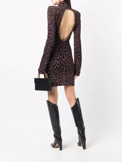 Shop Roberto Cavalli Leopard-print High Neck Mini Dress In Brown