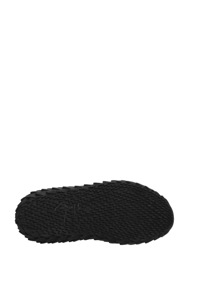 Shop Giuseppe Zanotti Sneakers Urchin Rubberized Leather In Black