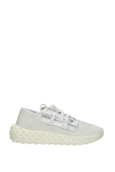 Shop Giuseppe Zanotti Sneakers Urchin Fabric In White