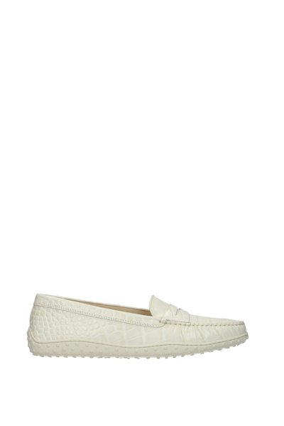 Shop Tod's Loafers Leather Mousse In White