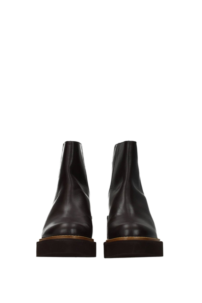 Shop Paloma Barceló Ankle Boots Leather Dark In Brown