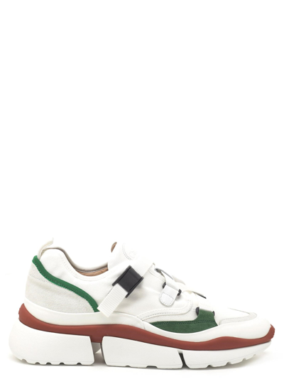 Shop Chloé 'sonnie' Sneakers In White