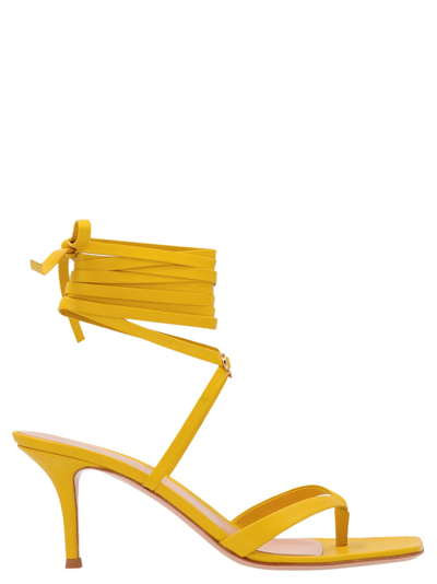 Shop Gianvito Rossi 'ribbon Gladiator' Sandals In Gold