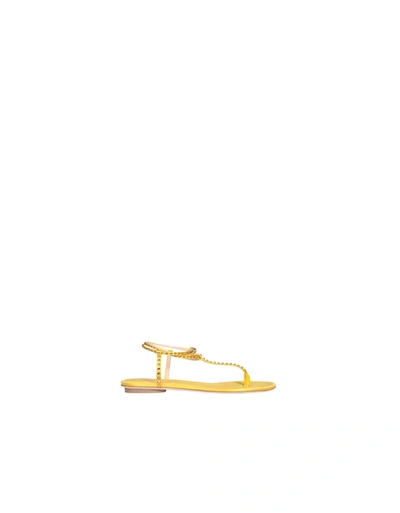 Shop Giannico Kai Thong Sandals In Yellow