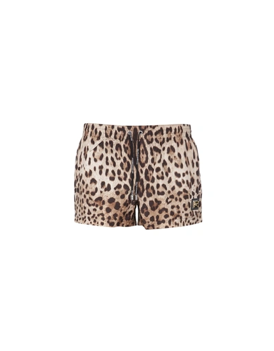 Shop Dolce & Gabbana Swimsuit With Animal Print