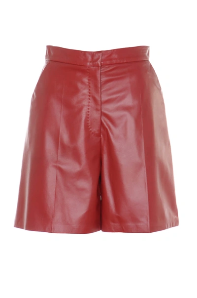 Shop Max Mara Lacuna Shorts