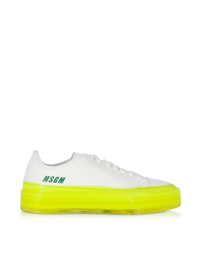 Shop Msgm Fluo Floating Sneakers In White