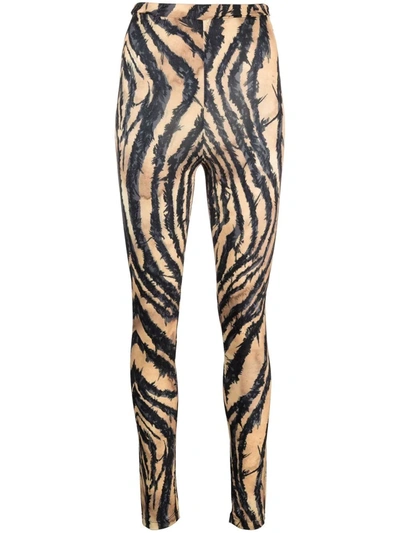 Shop Roberto Cavalli Zebra-print Leggings In Black