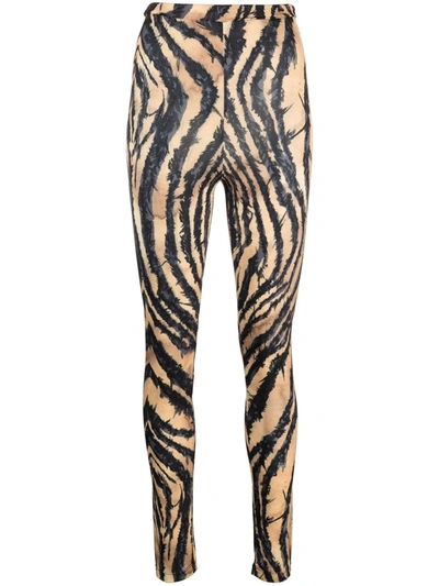 Roberto Cavalli Freedom Print Leggings In Black