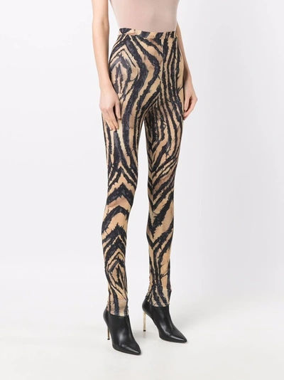 Shop Roberto Cavalli Zebra-print Leggings In Black