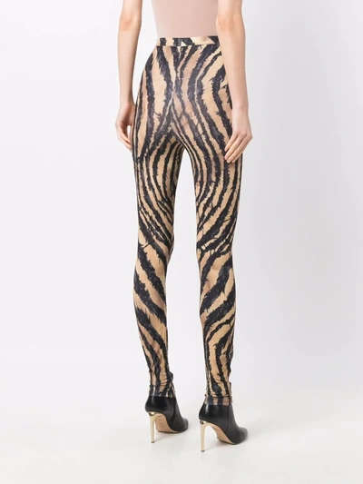 Shop Roberto Cavalli Zebra-print Leggings In Black