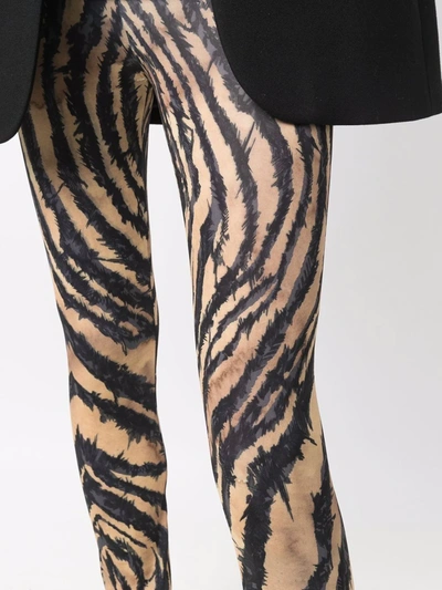 Shop Roberto Cavalli Zebra-print Leggings In Black