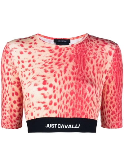 Shop Just Cavalli Linx-print Crop Top In Pink