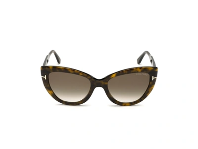 Shop Tom Ford Eyewear Anya Cat Eye Sunglasses In Brown