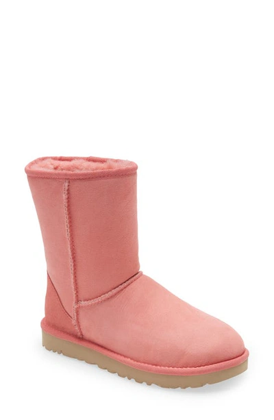 Shop Ugg Classic Ii Genuine Shearling Lined Short Boot In Pink Blossom