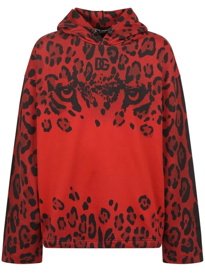 Shop Dolce & Gabbana Leopard - Print Cotton Hoodie In Red