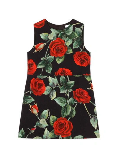 Shop Dolce & Gabbana Sleeveless Floral Dress In Rosa/nero