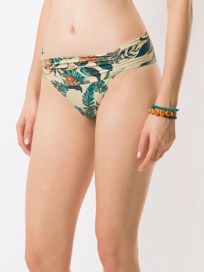 Shop Lygia & Nanny Calça Jasper Estampada Bikini Bottoms In Green