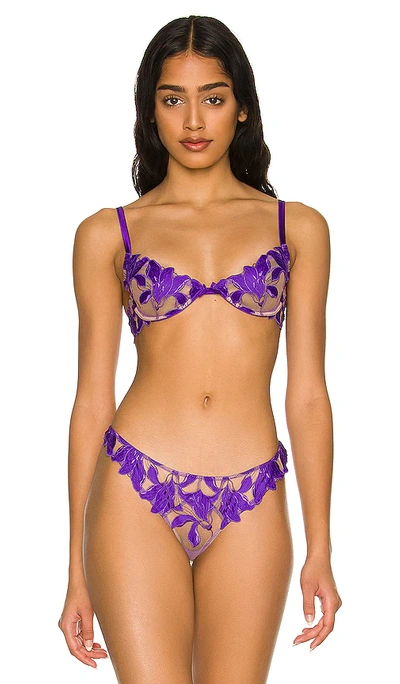 Shop Fleur Du Mal Lily Embroidery Plunge Demi Bra In Pansy