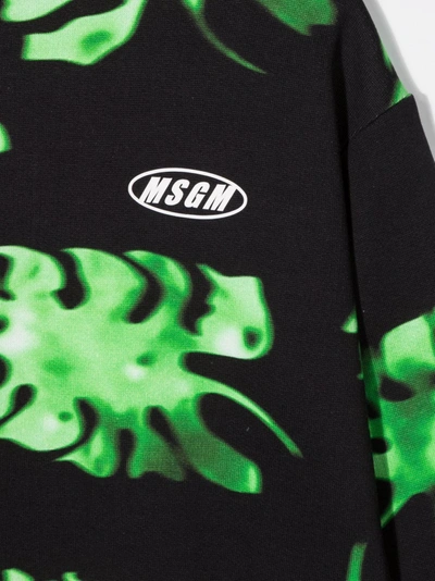 Msgm All Over Print Cotton Sweatshirt In Green