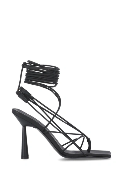 Shop Gia Borghini Sandals Black In Blak