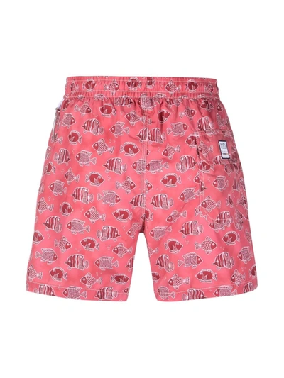Shop Fedeli Fish-print Swim Shorts In Pink