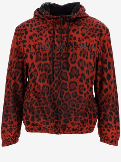 Shop Dolce & Gabbana Coats In Leo Nero Rosso