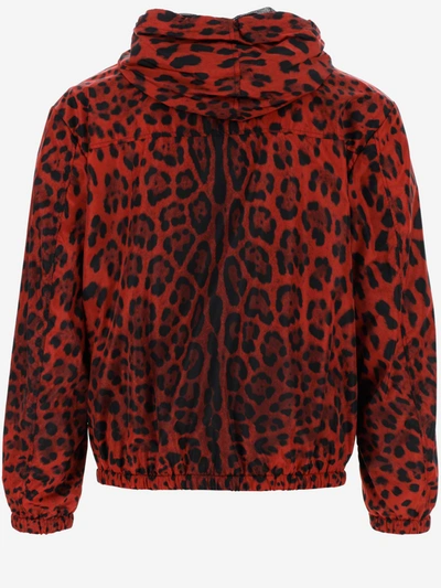 Shop Dolce & Gabbana Coats In Leo Nero Rosso