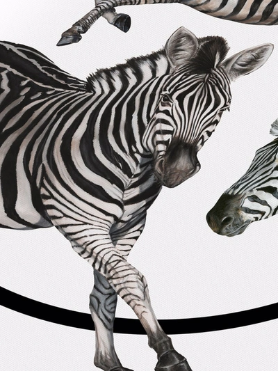 Dolce & Gabbana Zebra-print Double-faced Blanket In Weiss