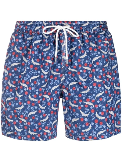Shop Fedeli Graphic-print Swim Shorts In Blau