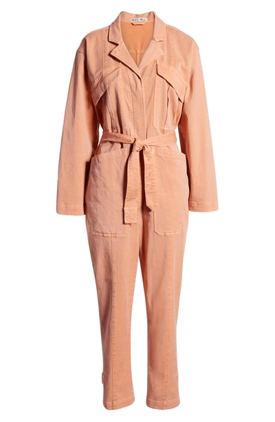 Shop Alex Mill Expedition Twill Jumpsuit In City Pink