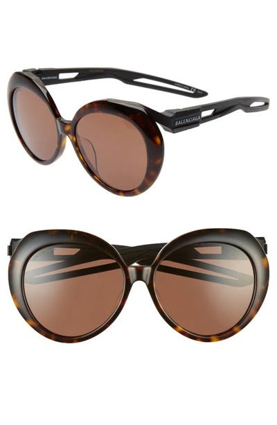 Shop Balenciaga 56mm Round Sunglasses In Shiny Dark Havana/ Brown