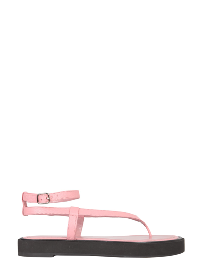 Shop By Far Cece Thong Sandals In Rosa