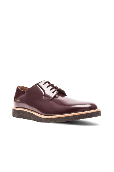 Shop Common Projects Derby Leather Shine In Oxblood
