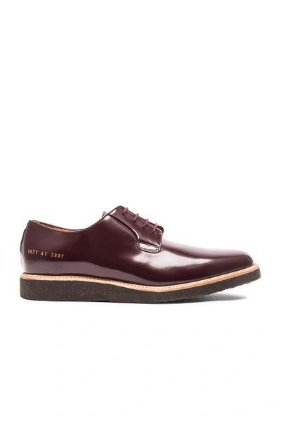 Shop Common Projects Derby Leather Shine In Oxblood