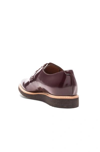 Shop Common Projects Derby Leather Shine In Oxblood