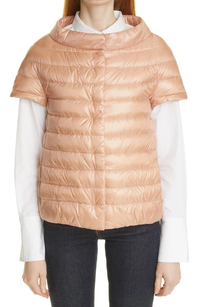 Shop Herno Emilia Cap Sleeve Quilted Down Jacket In Apricot