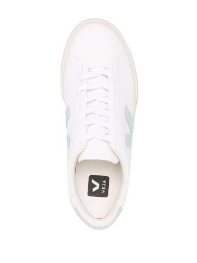 Shop Veja Campo Low-top Sneakers In Weiss