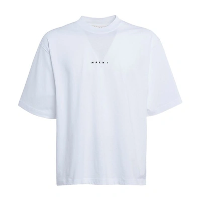 Shop Marni Logo Crew Neck T-shirt In Lily White