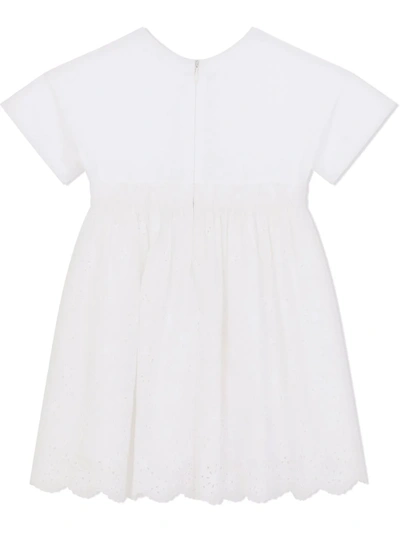 Shop Dolce & Gabbana Embroidered Poplin Midi Dress In White