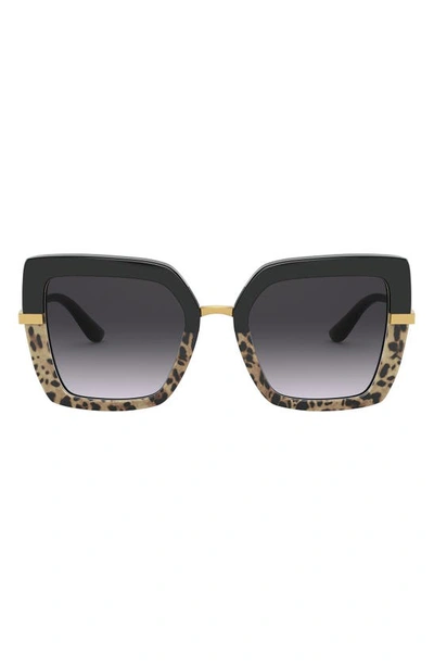 Shop Dolce & Gabbana Dolce And Gabbana 52mm Grad Sunglasses In Print Leo/ Black/grey Gr Black
