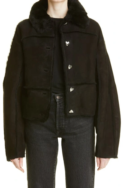 Shop Saks Potts Kahlo Genuine Shearling Crop Jacket In Black